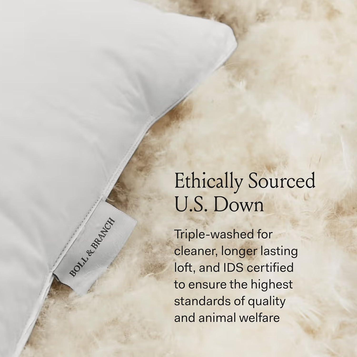 imageBOLL ampamp BRANCH Down Chamber Pillow Medium Standard Naturally Cooling Shell Premium Comfort Superior Support CrueltyFree IDS Certified DownKing Medium Density