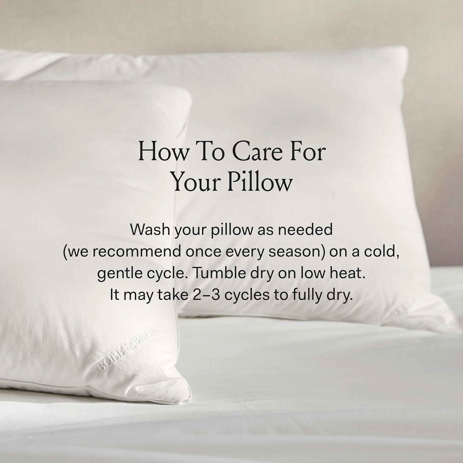 imageBOLL ampamp BRANCH Down Chamber Pillow Medium Standard Naturally Cooling Shell Premium Comfort Superior Support CrueltyFree IDS Certified DownStandard Firm Density